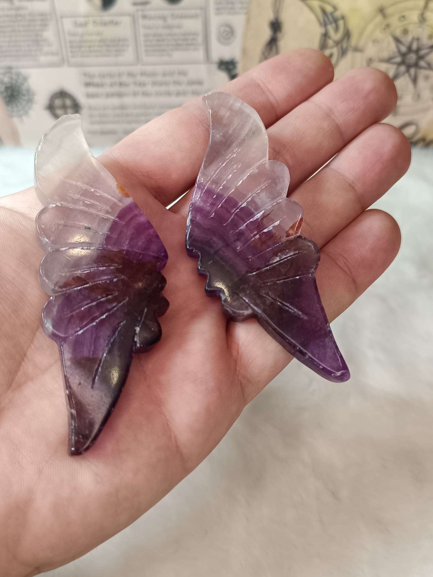 Farfalla in Fluorite su Stand