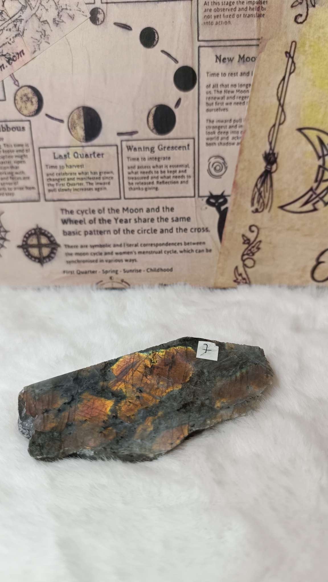 Slice di Labradorite Purple (Fetta)