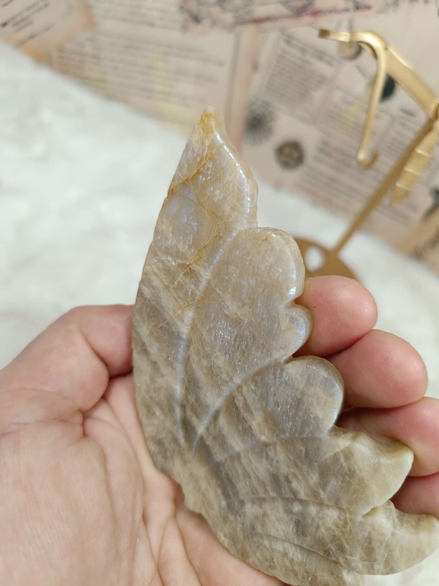 Farfalla in Belmorite su Stand