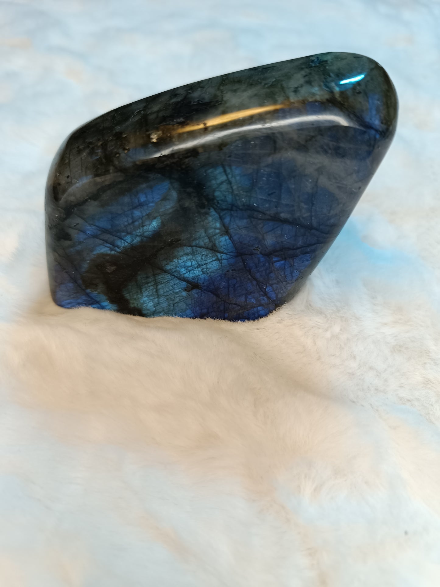 Standing Freeform Labradorite