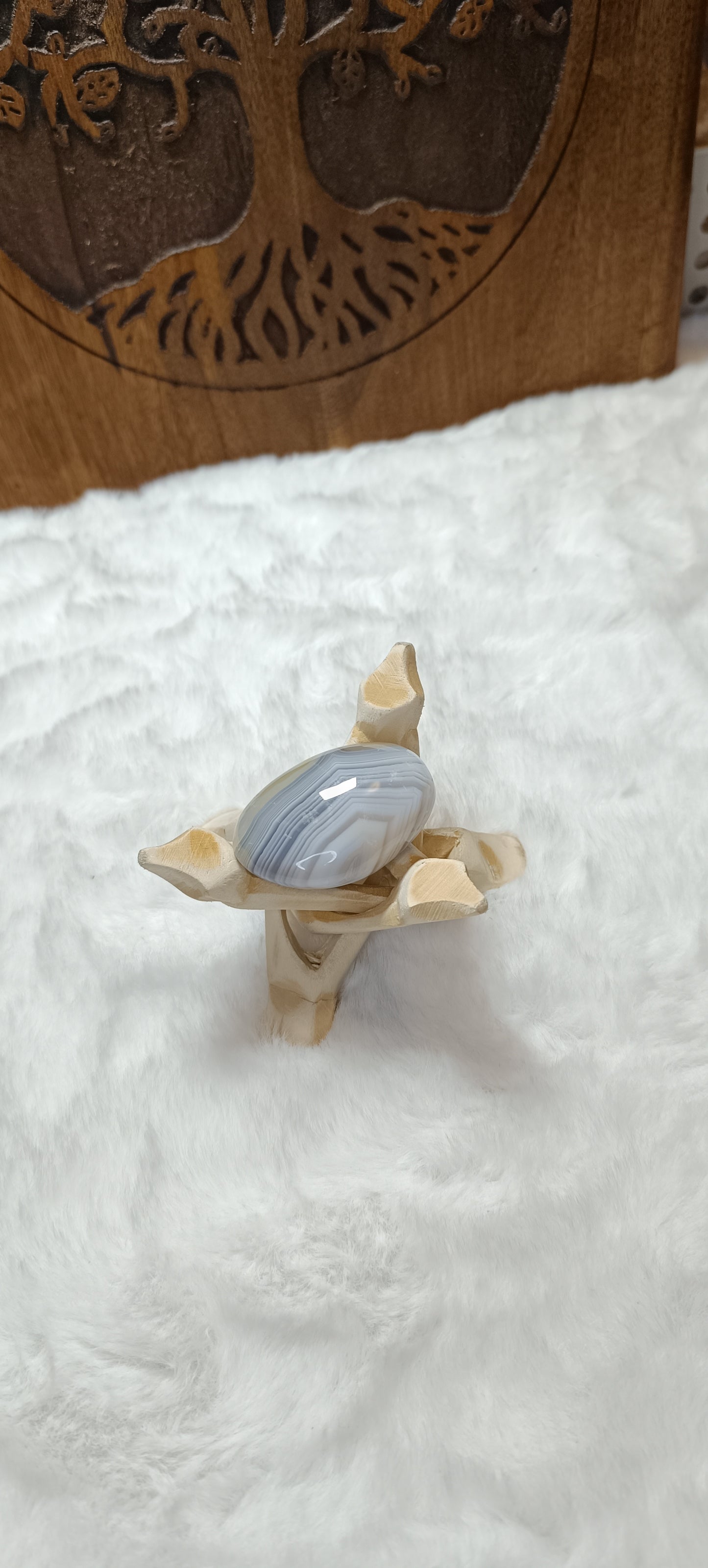 Palmstone di Agata Botswana