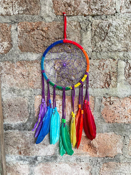 Caccia ai sogni multicolore 16 cm