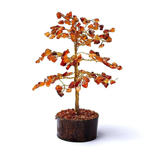 Albero di corniola