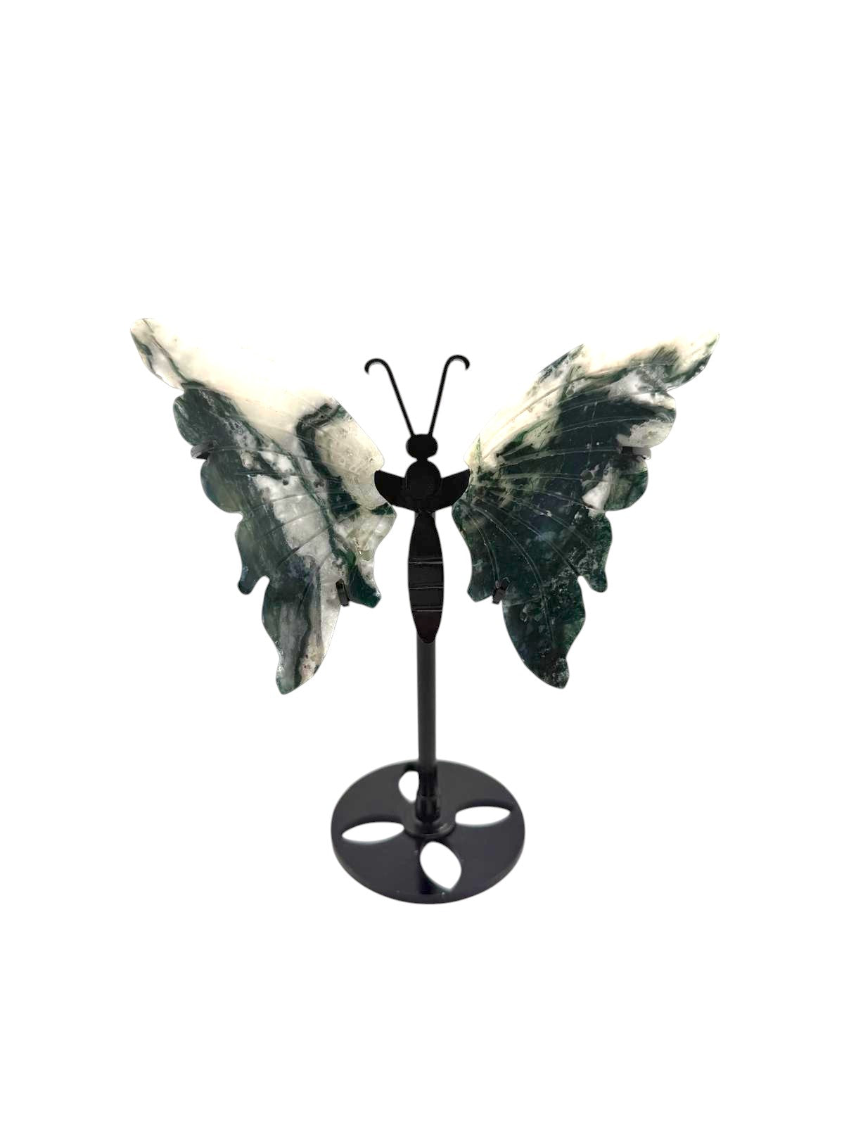 Farfalla agata muschiata con stand