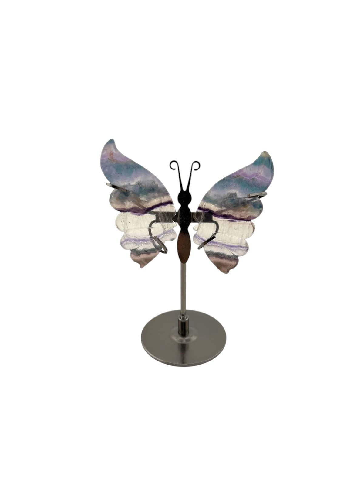 Farfalla in fluorite con stand