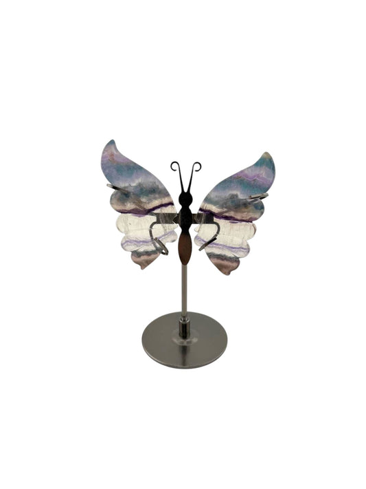 Farfalla in fluorite con stand