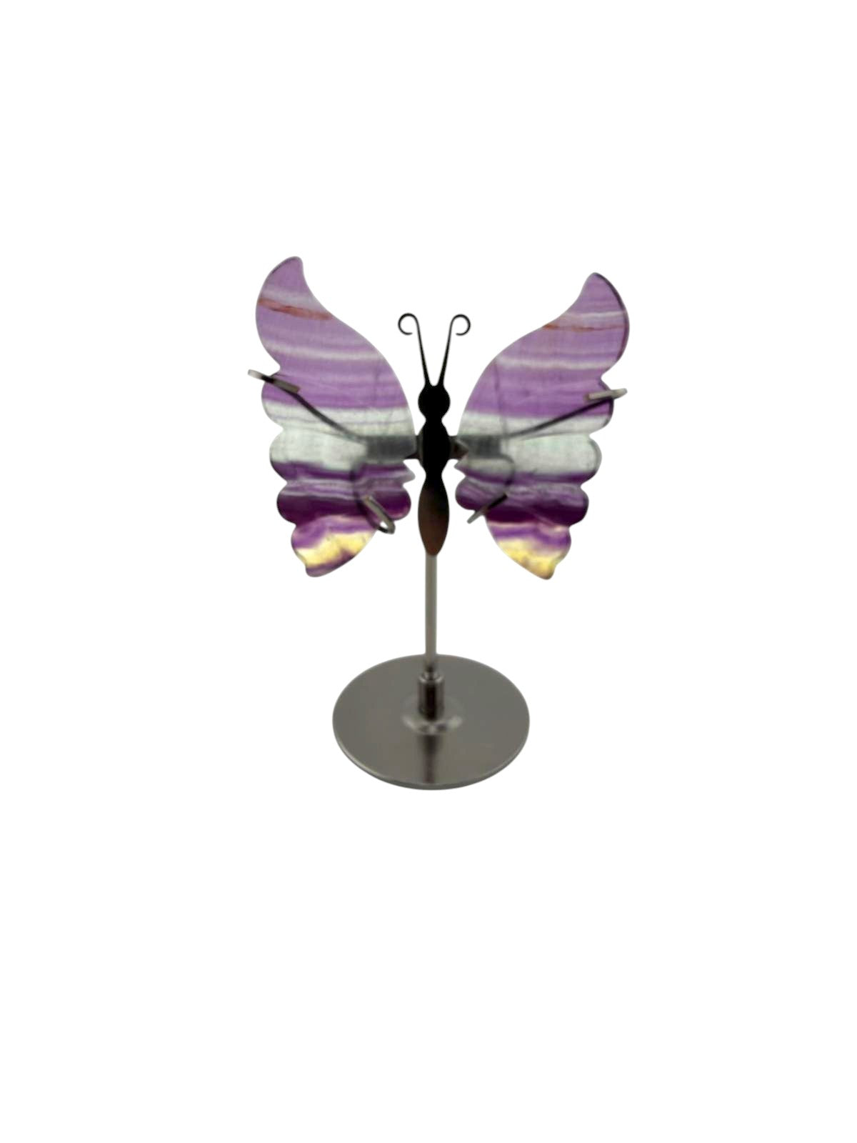Farfalla in fluorite con stand