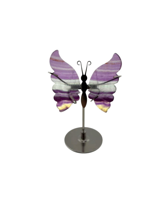Farfalla in fluorite con stand
