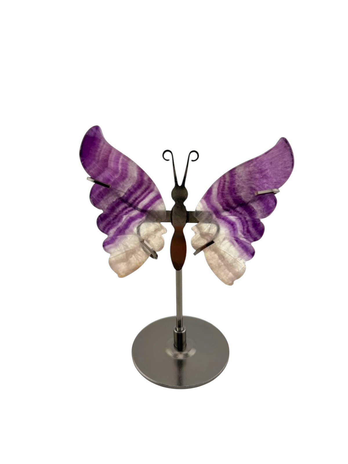 Farfalla in fluorite con stand
