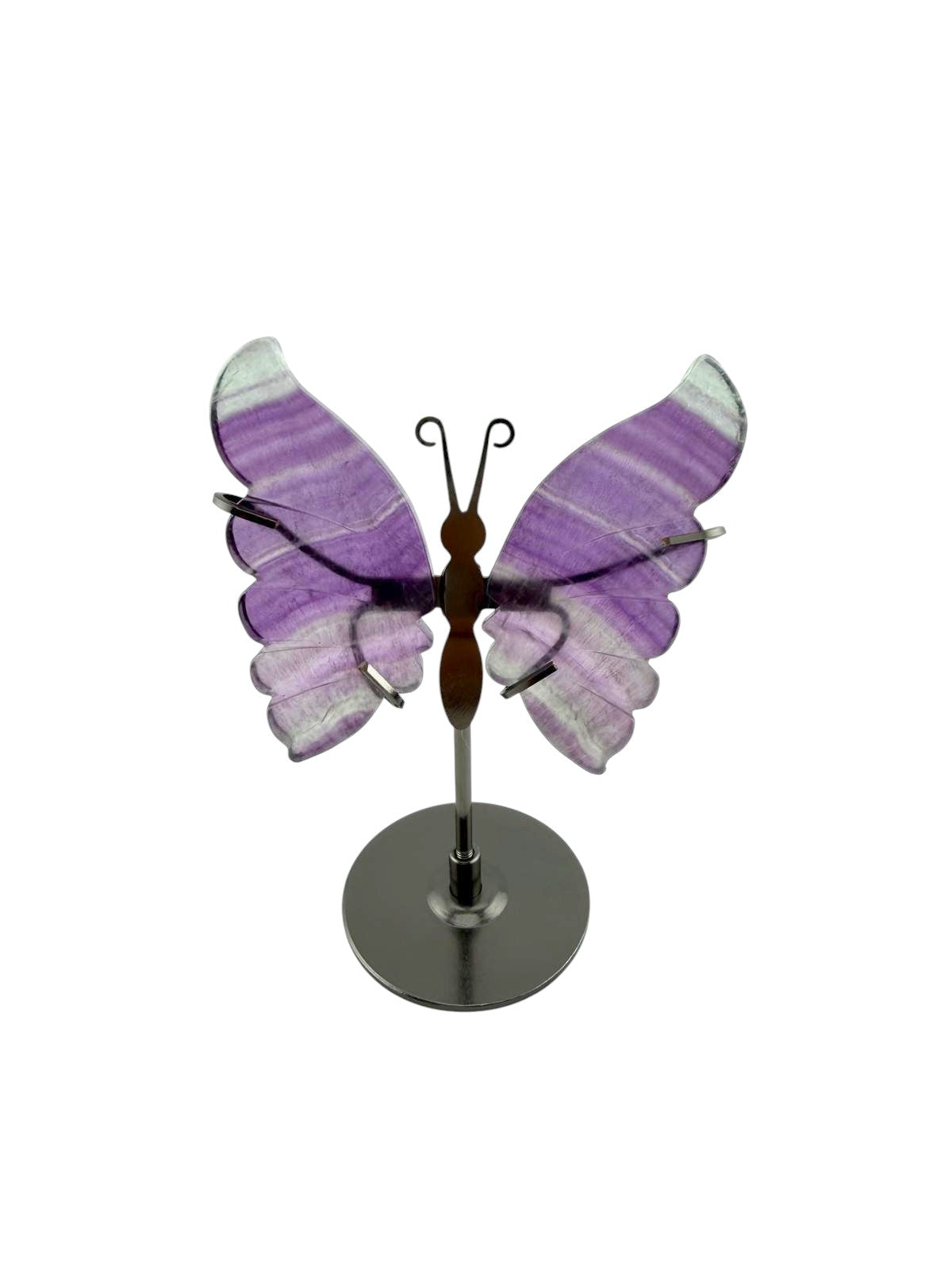 Farfalla in fluorite con stand