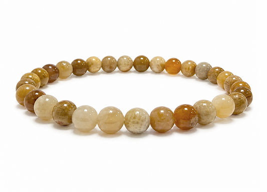 Bracciale in Corallo Fossile perle 6mm