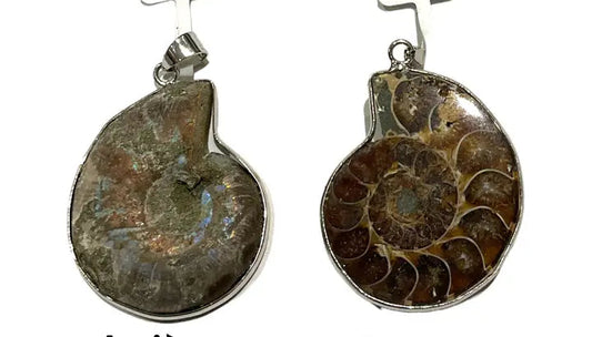 Ciondolo con ammonite